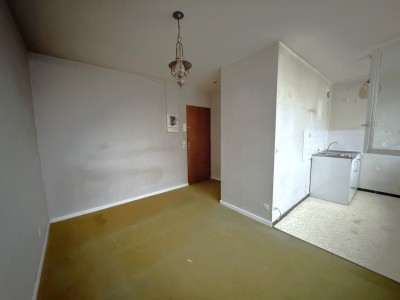 STUDIO A VENDRE - VILLEURBANNE - 19.55 m2 - 73000€