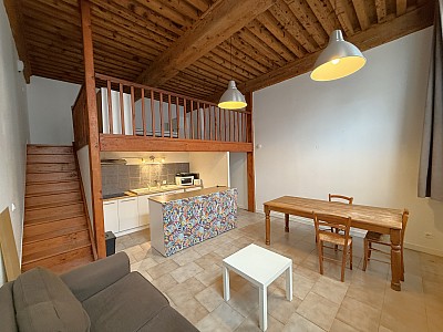 APPARTEMENT T1 A LOUER - LYON 4EME ARRONDISSEMENT - 43.09 m2 - 820€ charges comprises par mois