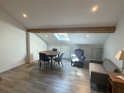 APPARTEMENT T1 A LOUER - LYON 7EME ARRONDISSEMENT - 18.38 m2 - 562 &euro; charges comprises par mois