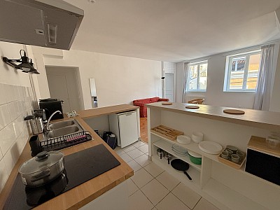 APPARTEMENT T2 A LOUER - LYON 1ER ARRONDISSEMENT - 61.81 m2 - 1 112,67 € charges comprises par mois