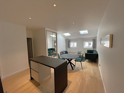 APPARTEMENT T2 A LOUER - LYON 2EME ARRONDISSEMENT - 51 m2 - 1 435 € charges comprises par mois