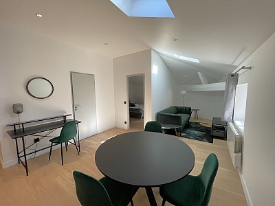 APPARTEMENT T2 A LOUER - LYON 2EME ARRONDISSEMENT - 47,72 m2 - 1574 € charges comprises par mois