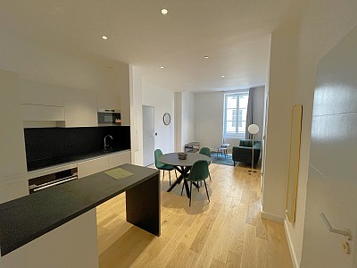 APPARTEMENT T2 A LOUER - LYON 2EME ARRONDISSEMENT - 54,17 m2 - 1490 € charges comprises par mois