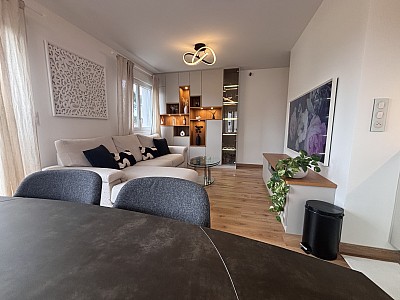 APPARTEMENT T2 A LOUER - NEUVILLE SUR SAONE - 43.38 m2 - 1�085�&euro; charges comprises par mois