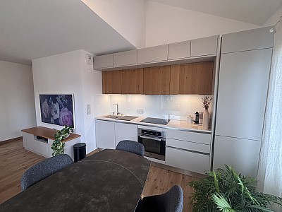 APPARTEMENT T2 A LOUER - NEUVILLE SUR SAONE - 43.38 m2 - 1�085�&euro; charges comprises par mois