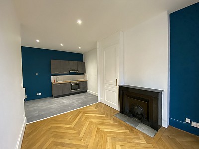 APPARTEMENT T2 A LOUER - VILLEURBANNE - 43.99 m2 - 745€ charges comprises par mois