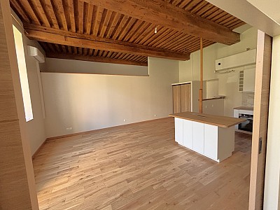 APPARTEMENT T2 A LOUER - LYON 4EME ARRONDISSEMENT - 54.76 m2 - 1622€ charges comprises par mois