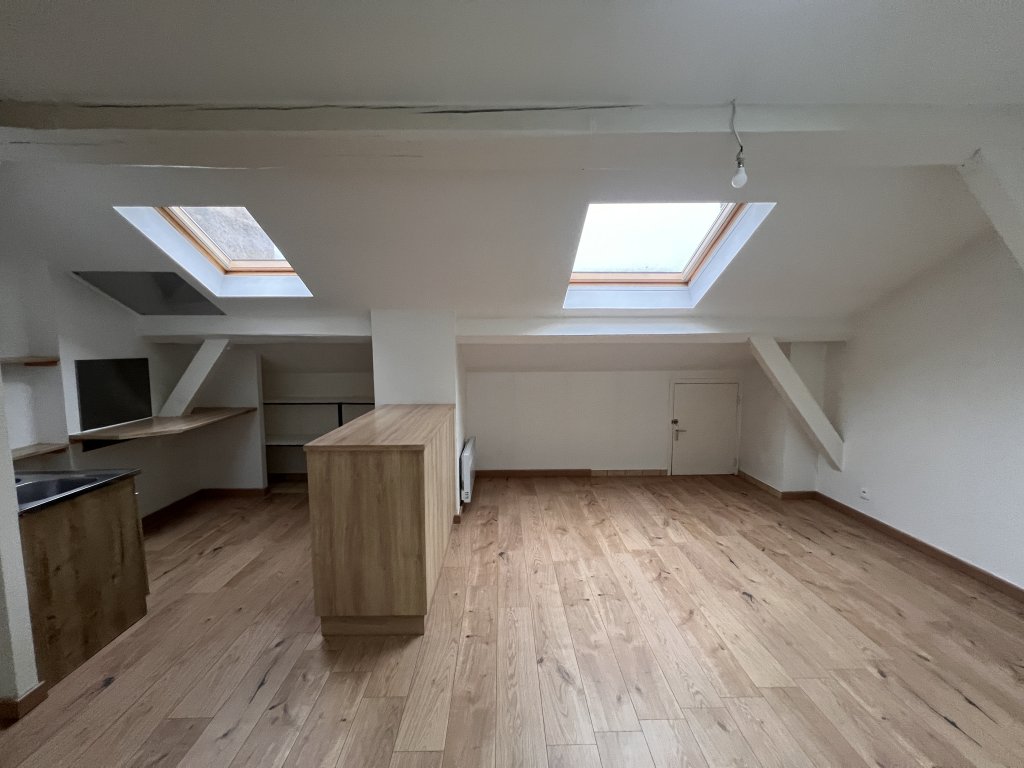 APPARTEMENT T3 A LOUER - LYON 7EME ARRONDISSEMENT - 47.33 m2 - 836�&euro; charges comprises par mois