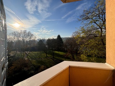 APPARTEMENT T4 A VENDRE - LYON 7EME ARRONDISSEMENT - 96.67 m2 - 380000€
