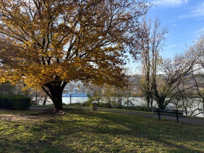 APPARTEMENT T4 A VENDRE - LYON 7EME ARRONDISSEMENT - 96.67 m2 - 380000€
